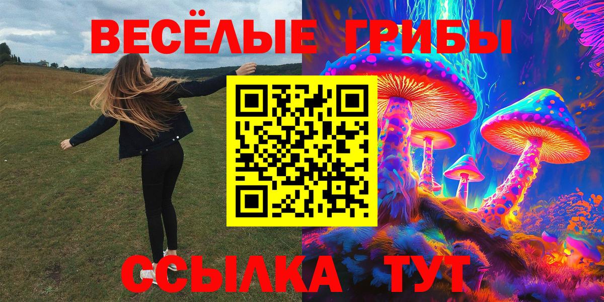 Галлюциногенные грибы мицелий Благовещенск